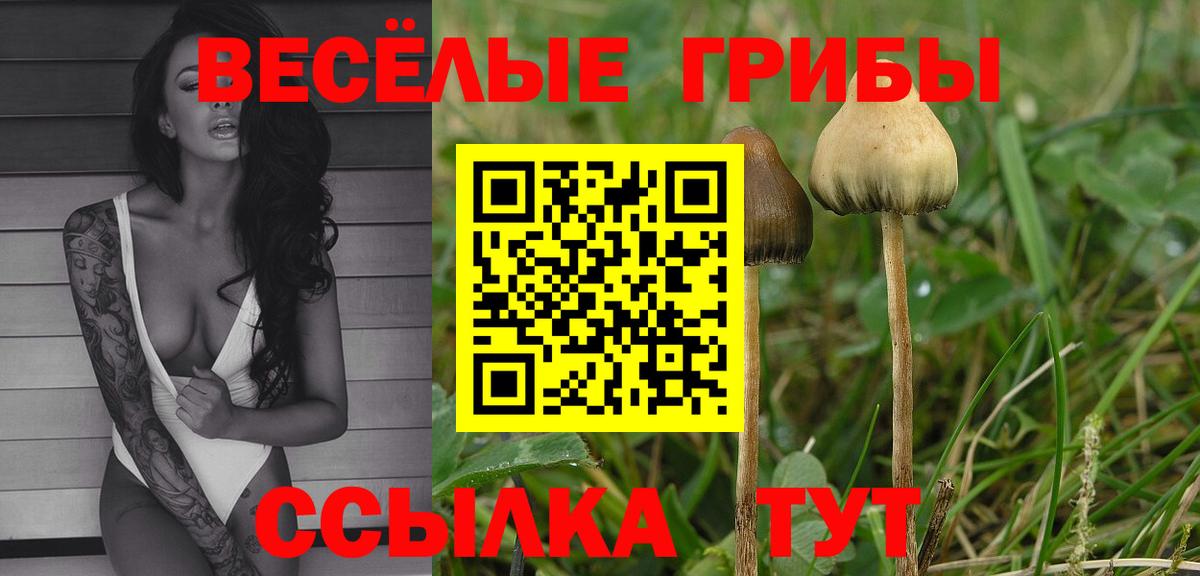 Псилоцибиновые грибы мухоморы  Вход с VPN  Мирный  Галлюциногенные грибы Cubensis 